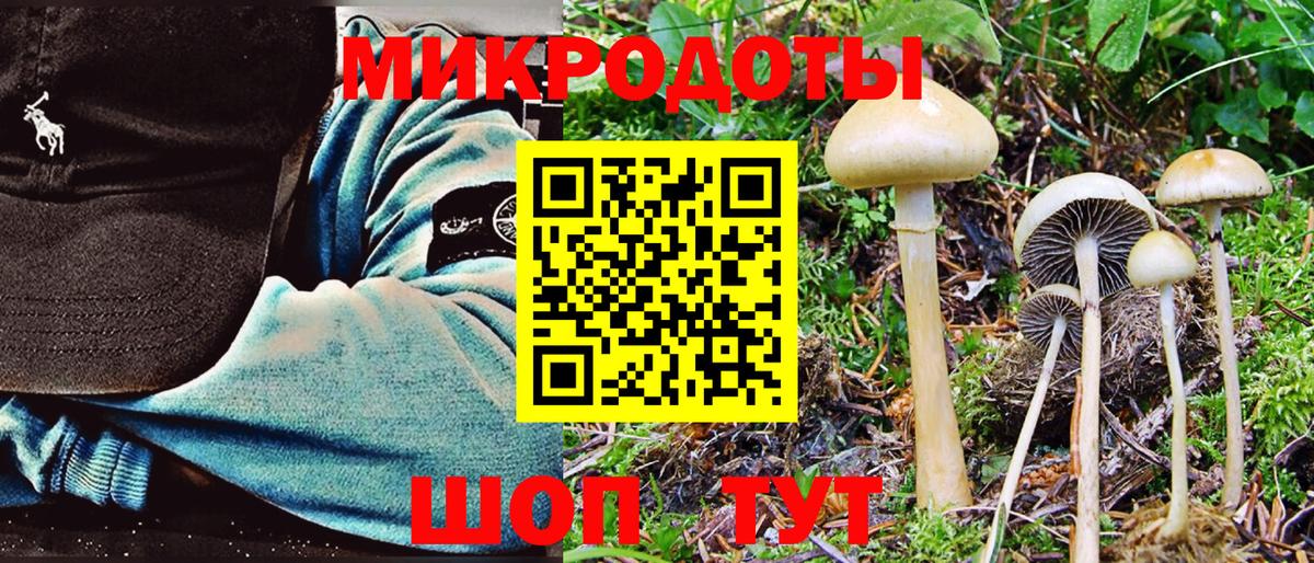 Псилоцибиновые грибы GOLDEN TEACHER  Вход с VPN  Батайск 